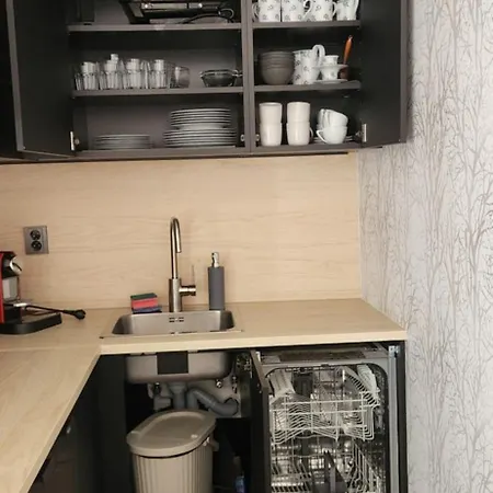 Cosy And Modern Apartment Labska Spindl Krausovy Boudy