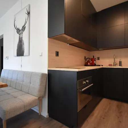 Cosy And Modern Apartment Labska Spindl Apartment Krausovy Boudy