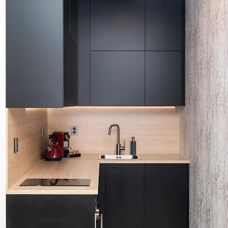 Apartment Cosy And Modern Labska Spindl *